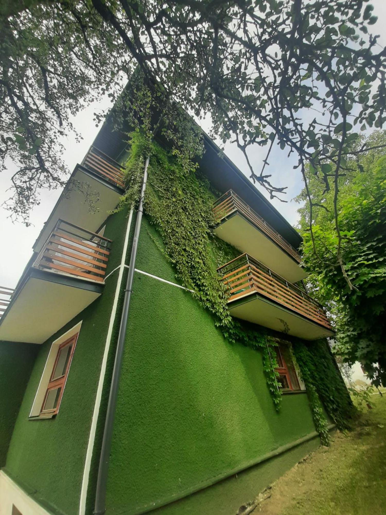 Willa Hono Lulu Busko-Zdrój Esterno foto